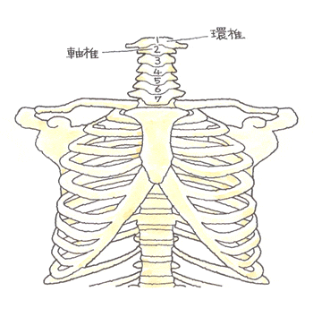 環椎・軸椎